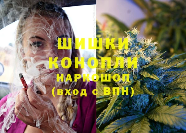 каннабис Алексеевка