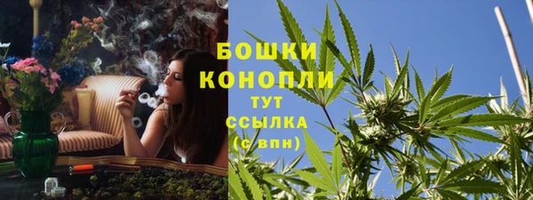 стафф Аркадак