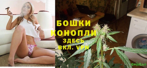 тгк Арсеньев