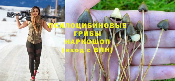 стафф Аркадак
