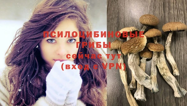 тгк Арсеньев