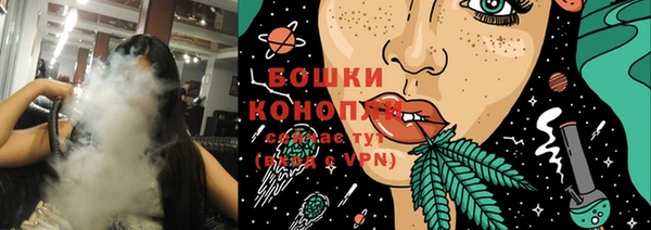 стафф Аркадак
