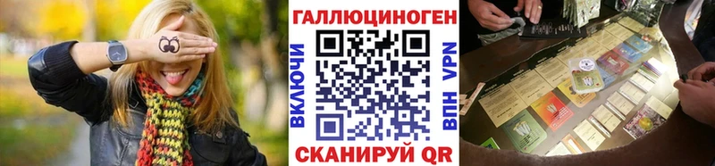 купить   Беслан  Псилоцибиновые грибы GOLDEN TEACHER 