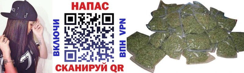 Конопля планчик что такое Беслан